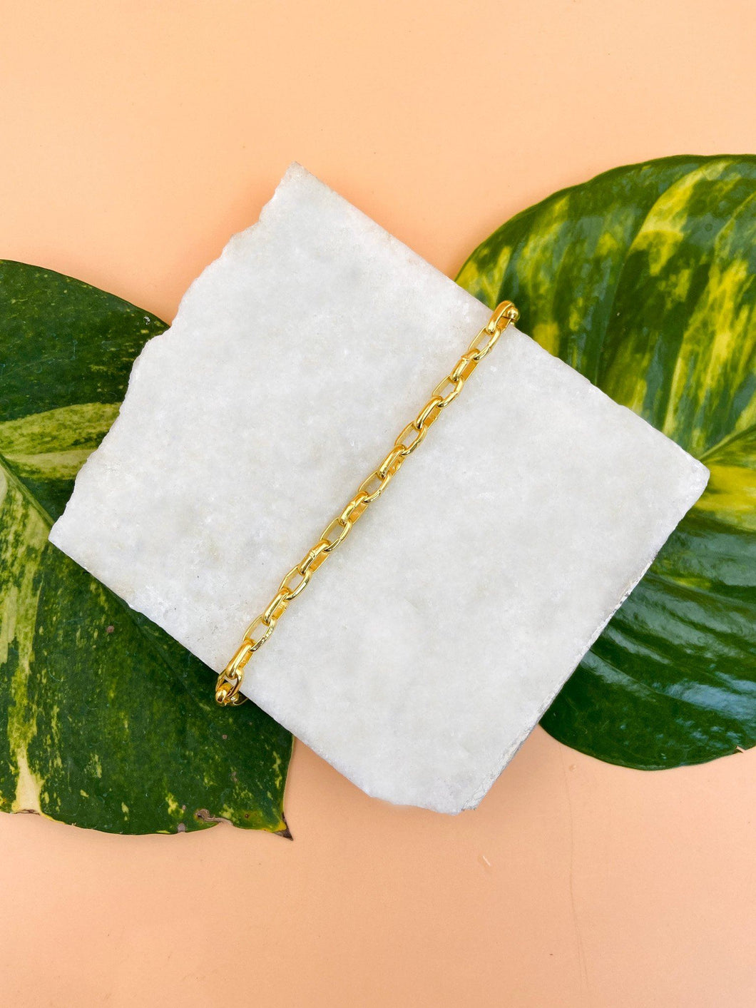 Catena bracelet on top of marble slab with green leaves under